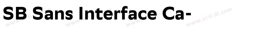 SB Sans Interface Ca字体转换 SB Sans Interface Ca字体转换
